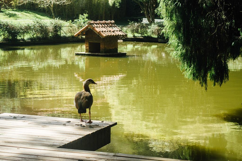 Pousada Tucano Do Cuiaba Itaipava 外观 照片